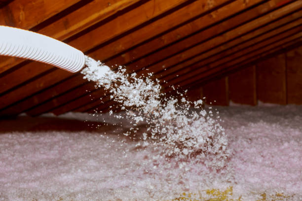Best Soundproof Insulation Installation  in Philadelphia, PA