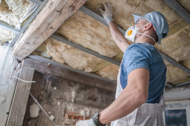 Best Crawl Space Insulation  in Philadelphia, PA