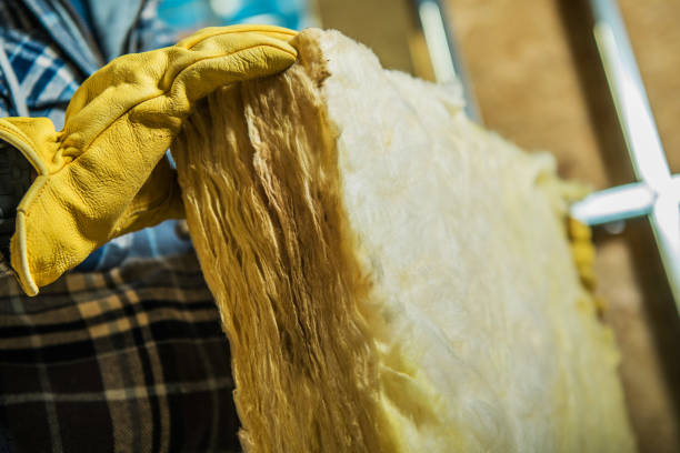 Best Home Insulation Services  in Philadelphia, PA