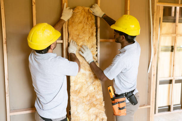Best Insulation Replacement Services  in Philadelphia, PA