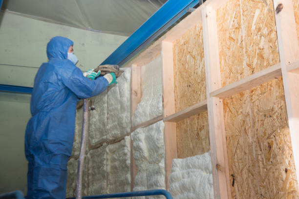 Best Affordable Insulation Services  in Philadelphia, PA