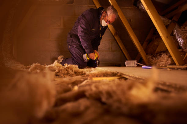 Best Insulation Repair Services  in Philadelphia, PA