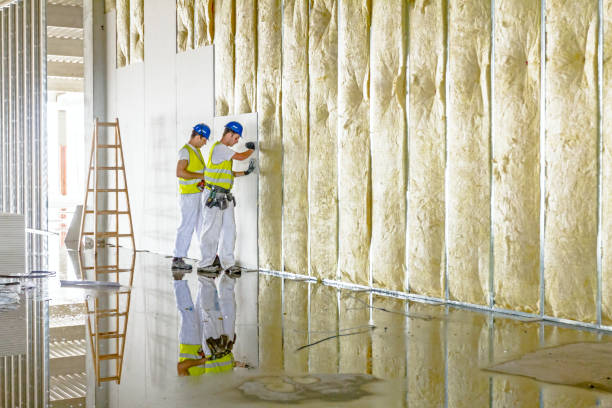 Best Attic Insulation Installation  in Philadelphia, PA